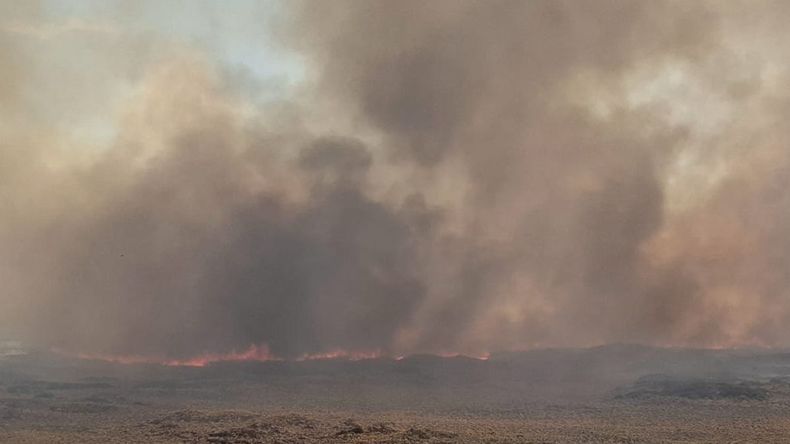 Incendios en el norte neuquino: está contenido en una zona, pero sigue en Loncopué | LM Neuquen Incendios en el norte neuquino: está contenido en una zona, pero sigue en Loncopué