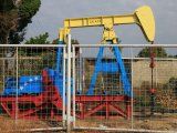 An oil pumpjack painted with the colors of the Venezuelan flag is seen in Lagunillas, Venezuela January 29, 2019. REUTERS/Isaac Urrutia