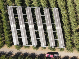 cerezas del futuro: nuevos paneles en la produccion cerezas del futuro: nuevos paneles en la produccion