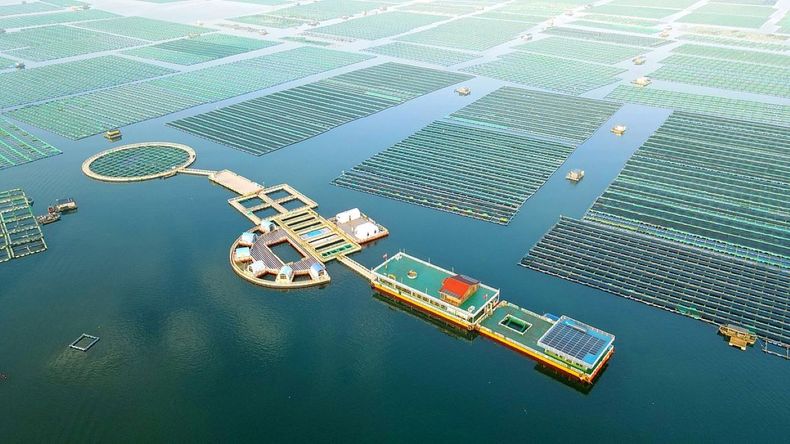 China sorprende al mundo con su megainversión en finanzas sostenibles