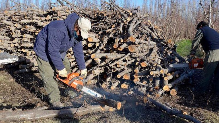 El Municipio sigue distribuyendo leña en la ciudad.&nbsp;