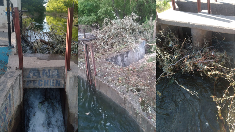 Grave denuncia por obstrucciones en los canales de riego de Vista Alegre. | LM Neuquen Grave denuncia por obstrucciones en los canales de riego de Vista Alegre.