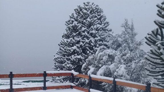 Un temporal de nieve cubrió de blanco a Villa Pehuenia