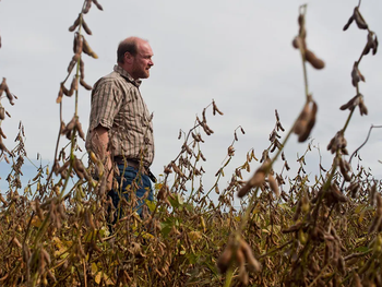 Reestructuración en foco: baja de siembra propia, énfasis en originación y acopios con 700.000-800.000 ton/año. Reestructuración en foco: baja de siembra propia, énfasis en originación y acopios con 700.000-800.000 ton/año.