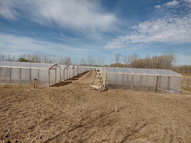 Chacra municipal San Patricio del Chañar.