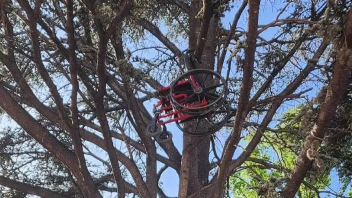 La silla de ruedas apareció atada a un árbol en una plaza