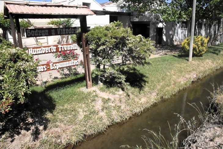 Paredes levantadas por el abuelo Clemente que aún están de pie. En el interior de la bodega, el techo de pinotea y barro mantiene una temperatura ideal de 21°C para la elaboración del vino. Foto: Fabricio González.