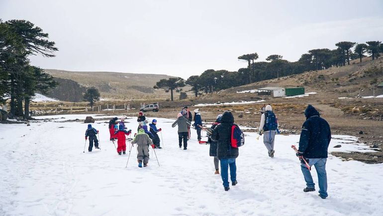 Primeros Pinos es una opción familiar para esquiar y conocer la nieve muy cerca en Neuquén. Primeros Pinos es una opción familiar para esquiar y conocer la nieve muy cerca en Neuquén.