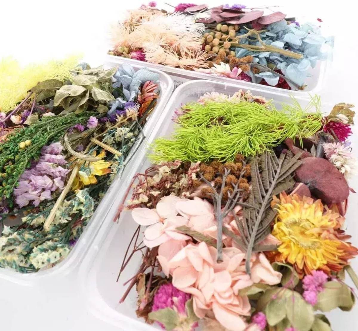 Además de ser decorativas, las flores secas tienen un uso para mantener la higiene y salud del hogar.