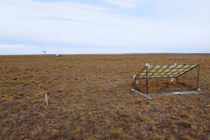 “Esta línea de investigación que venimos desarrollando continúa poniendo números al balance de carbono –stock, emisiones, almacenamiento– que brindan estos ecosistemas productivos naturales". Foto INTA. “Esta línea de investigación que venimos desarrollando continúa poniendo números al balance de carbono –stock, emisiones, almacenamiento– que brindan estos ecosistemas productivos naturales". Foto INTA.