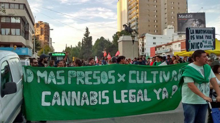 Reclamaron la regulación del uso medicinal del cannabis