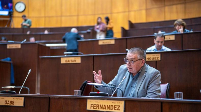 Ramón Fernández, secretario general del CEC, respalda el proyecto de GNL | LM Neuquen Ramón Fernández, secretario general del CEC, respalda el proyecto de GNL