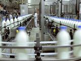 La cooperativa SanCor se encuentra sumergida en una profunda crisis estructural.