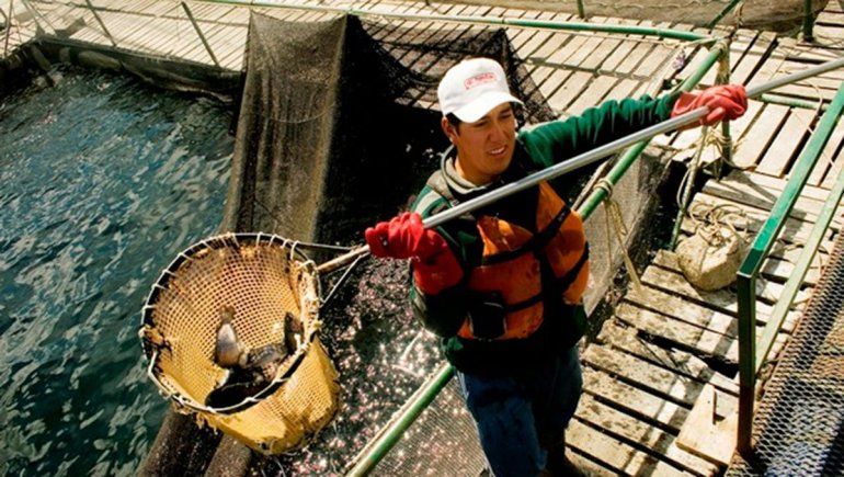 Provincia asegura que Alicurá no perderá el estatus sanitario