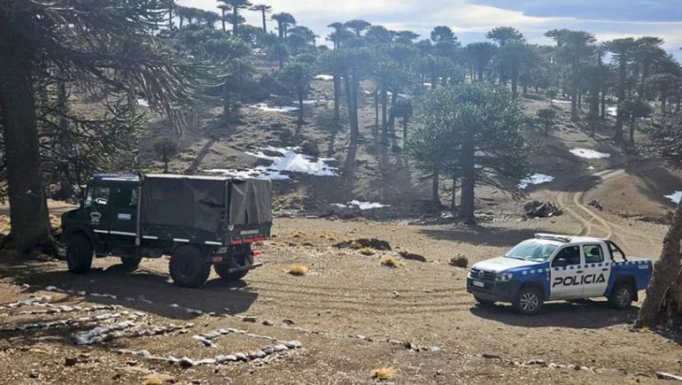 Refuerzan la presencia policial en la frontera con Chile mediante un operativo conjunto con Gendarmería