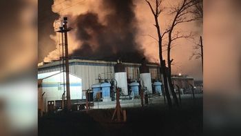 Se desató un incendio en la planta TGS sobre la Ruta 51.