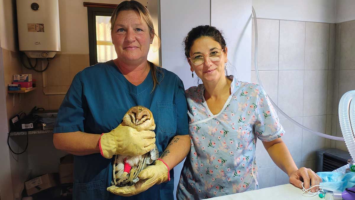 La veterinaria Bárbara Bartolomé junto a su colega Samanta Croatto, con quien asistieron la lechuza paciente.