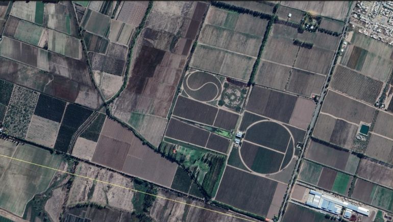 Laberintos, botellas y radiales: conocé las formas más curiosas de los viñedos argentinos