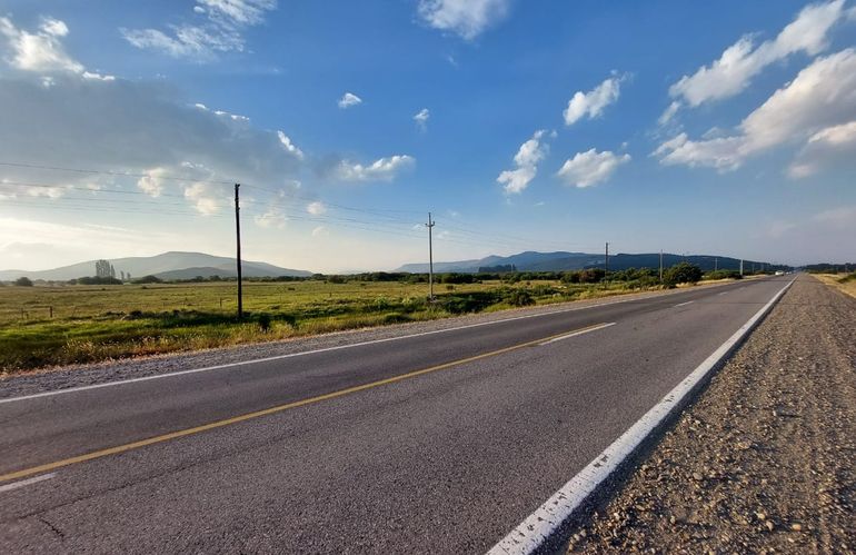 Gentileza Francisco Olivera