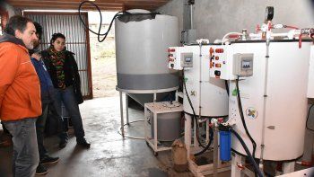 biodiesel alumine