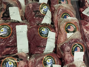 Faena de carne de exportación en frigorífico uruguayo: cortes premium de la Cuota Hilton ya ingresan sin aranceles a la Unión Europea desde mayo 2026. Faena de carne de exportación en frigorífico uruguayo: cortes premium de la Cuota Hilton ya ingresan sin aranceles a la Unión Europea desde mayo 2026.
