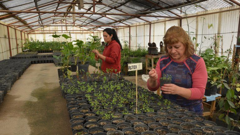 Trabajadoras municipales