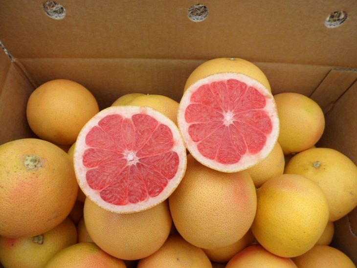 Naranjas, mandarinas y limones retroceden en la UE, mientras el pomelo es la única excepción al descenso general.