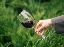 Mientras el consumo de vino cae, Argentina vive un boom orgánico. Mientras el consumo de vino cae, Argentina vive un boom orgánico.