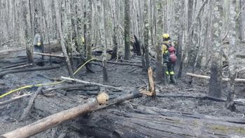 El incendio ocurrió a pocos metros de la casa del guardaparques que intervino en la clausura del camping del lago Falkner