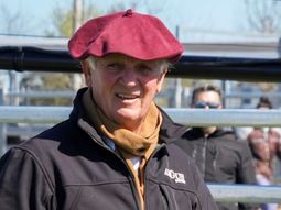 negocio de la carne: muy buena la foto, mala la pelicula negocio de la carne: muy buena la foto, mala la pelicula