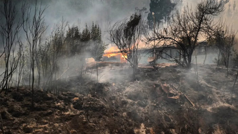 Los incendios en Chile ya arrasaron con más de 50.000 hectáreas. | LM Neuquen Los incendios en Chile ya arrasaron con más de 50.000 hectáreas.