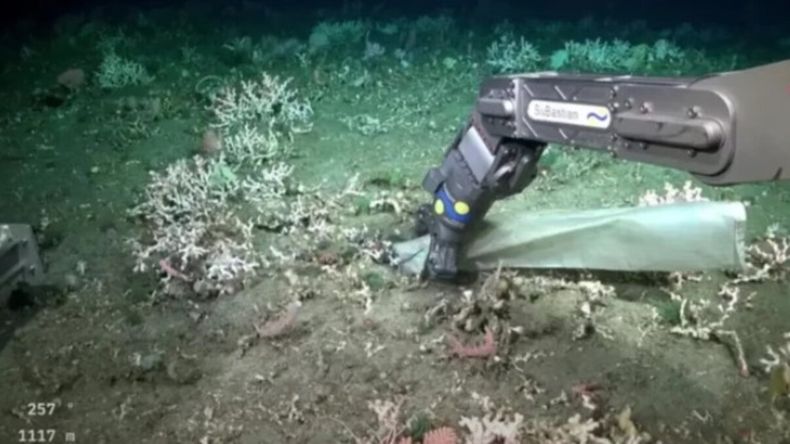 El streaming permitió seguir en tiempo real las exploraciones científicas en zonas profundas del Mar Argentino. | LM Neuquen El streaming permitió seguir en tiempo real las exploraciones científicas en zonas profundas del Mar Argentino.