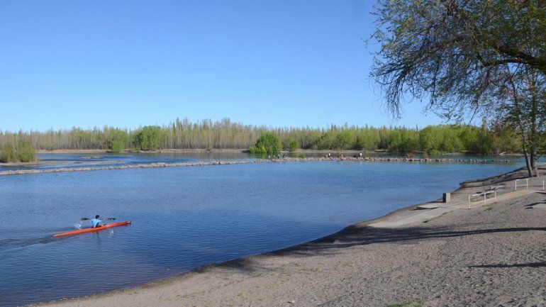 Los análisis se realizarán a partir de la segunda quincena de octubre.