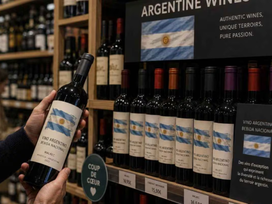 Argentina exportó 831.628 hl de vino varietal en el primer semestre de 2026, un +6,5% más que en 2025.