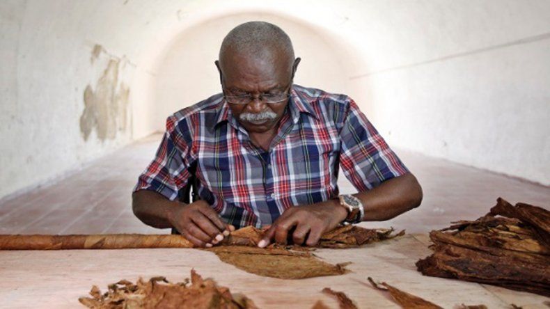 Cubano fabrica un tabaco de 90 metros en honor a Fidel Castro