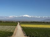El prestigioso crítico James Suckling eligió los mejores 100 vinos de Argentina.&nbsp;
