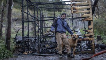 logro salvar a su perro del incendio que consumio su casa logro salvar a su perro del incendio que consumio su casa