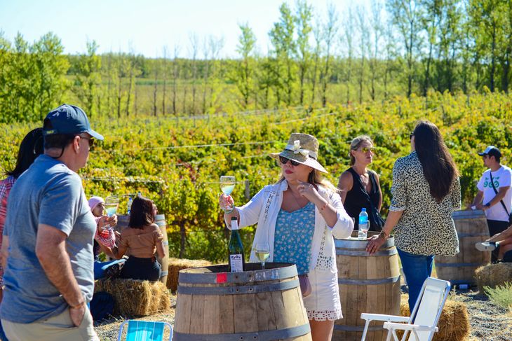 Será una verdadera fiesta en honor al trabajo que conlleva hacer un vino en la zona. Foto: gentileza Familia Schroeder Será una verdadera fiesta en honor al trabajo que conlleva hacer un vino en la zona. Foto: gentileza Familia Schroeder 