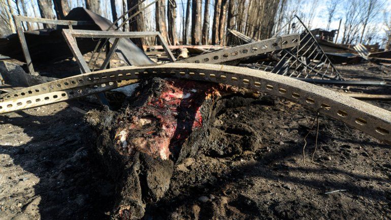 Las casa de cuidadores en las chacras y los animales de corral fueron los más perjudicados en los incendios. Los bomberos fueron sobrepasados porque las llamas se avivaron con el viento.