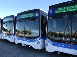 Desde la UTA aseguraron que COLE funcionará este miércoles. Desde la UTA aseguraron que COLE funcionará este miércoles.