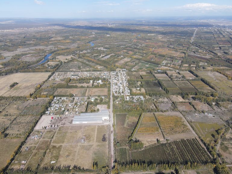 En Vista Alegre se han autorizado algunos loteos que siguen la traza urbana. Pero hay otros irregulares en plena zona productiva, pese a la crisis de la fruticultura.