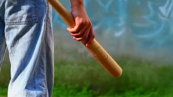 El fallo judicial determinó que el camionero lesionó al conductor del auto, dándole un garrotazo en el brazo. El fallo judicial determinó que el camionero lesionó al conductor del auto, dándole un garrotazo en el brazo.