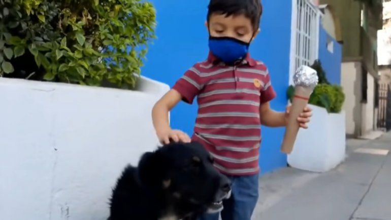 Facebook: un niño se hizo viral por entrevistar a perros