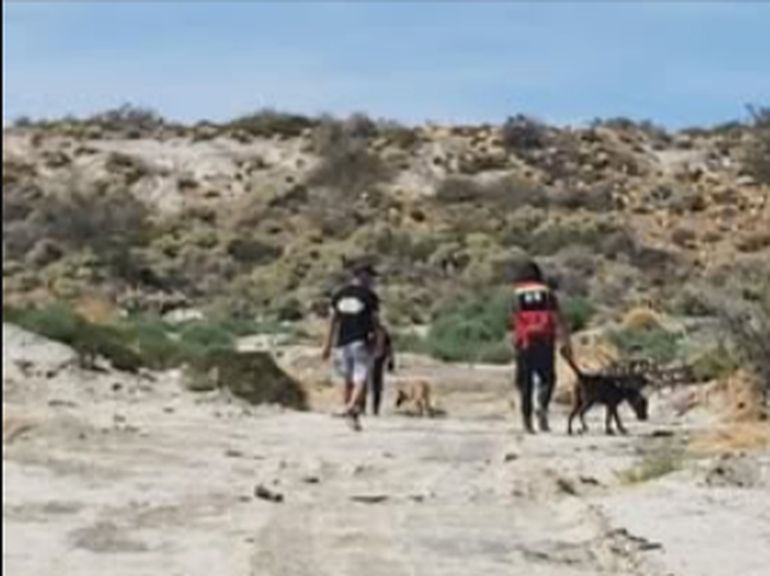 Uno de los rastrillajes que se realizaron en el verano de 2020, tras la desaparición de Victorio Joursin, un ex policía que padecía alzheimer. Uno de los rastrillajes que se realizaron en el verano de 2020, tras la desaparición de Victorio Joursin, un ex policía que padecía alzheimer.