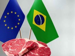 El mayor exportador mundial de carne vacuna perdió la habilitación para vender al bloque europeo, una decisión que podría reconfigurar parte del comercio internacional de carnes. El mayor exportador mundial de carne vacuna perdió la habilitación para vender al bloque europeo, una decisión que podría reconfigurar parte del comercio internacional de carnes.