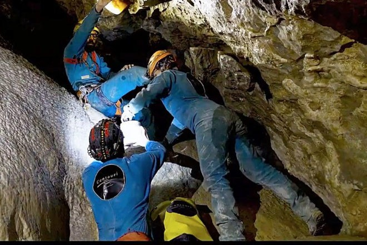 Los precios tan desorbitados tienen su explicación a su altísima e incuestionable calidad y a las dificultades de extracción. (Foto: Centuri Honey). Los precios tan desorbitados tienen su explicación a su altísima e incuestionable calidad y a las dificultades de extracción. (Foto: Centuri Honey).