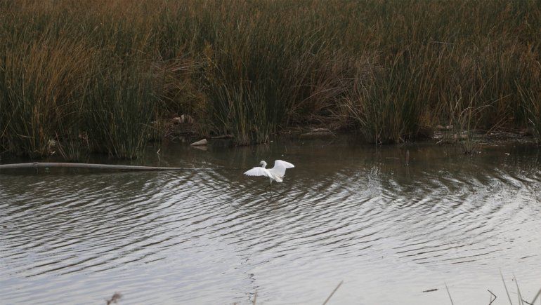 La laguna de San Lorenzo fue objeto de estudio para la Escuela 193