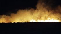 por el viento, se descontrolo un incendio forestal en senillosa y hay riesgo para viviendas