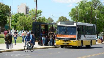 Autobuses Neuquén colectivos