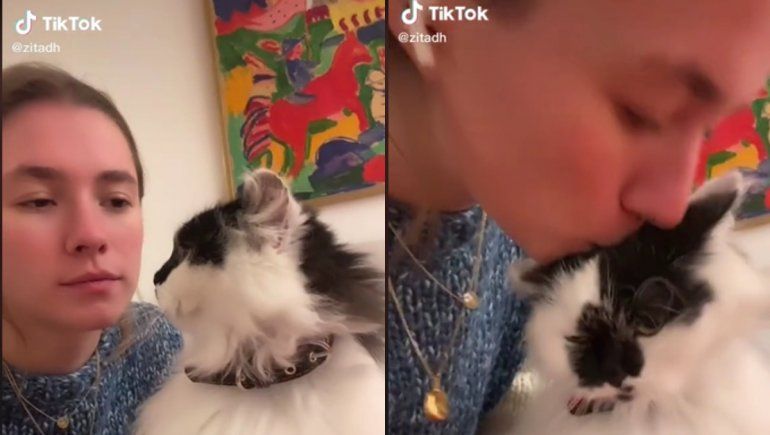 TikTok: un gato tuvo un cariñoso e inesperado gesto con su ama y es viral
